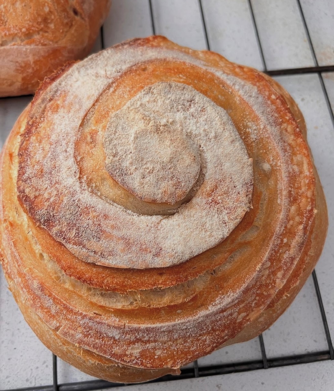 sourdough by erica
