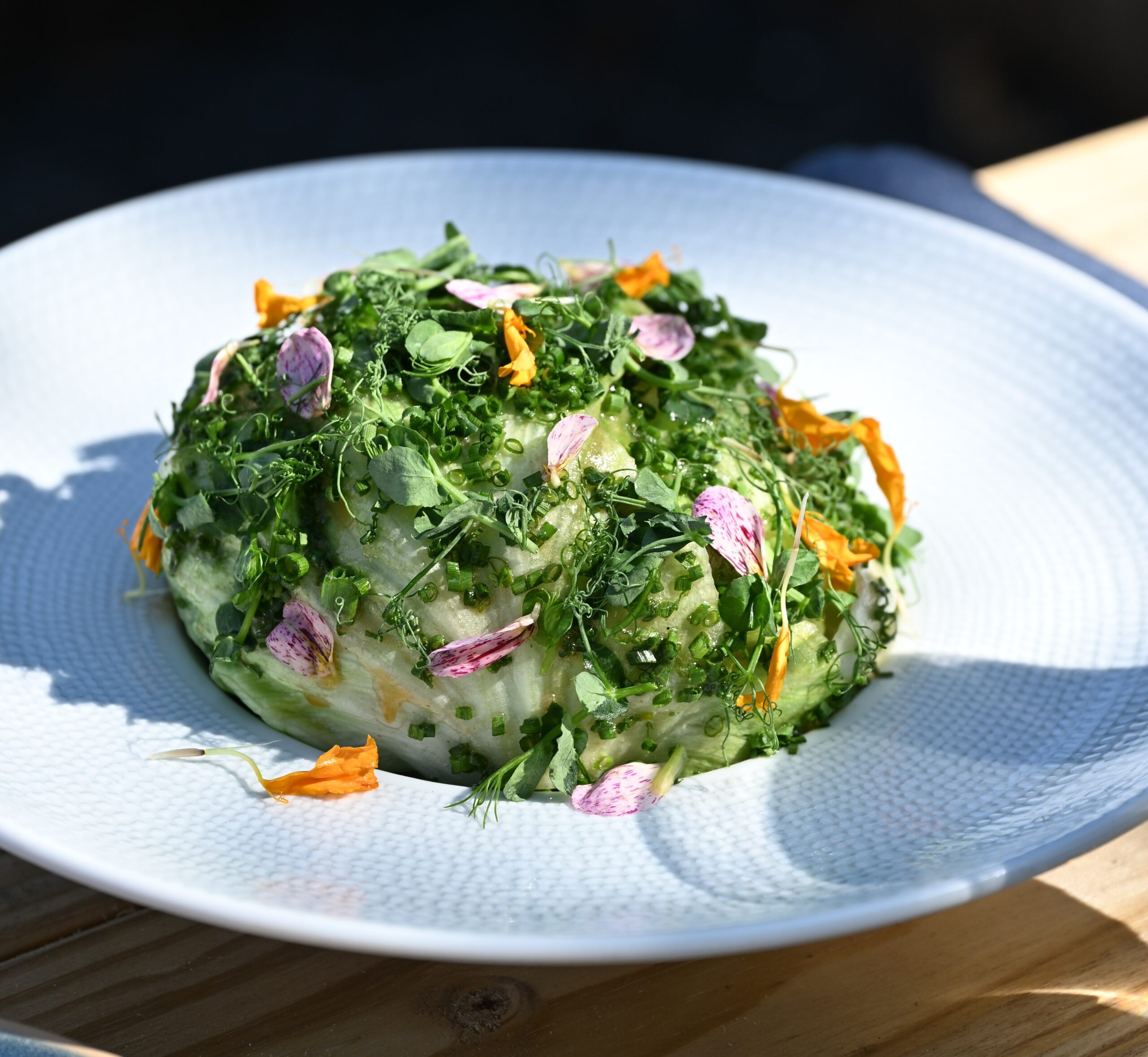 Salt Marsh Garden Salad Zoe Stoner Photography