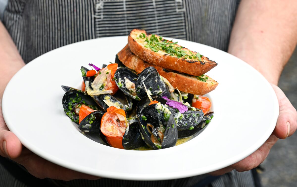 Zoe Stoner Photography